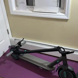 2025 Powerful 350W Folding E-Scooter for Adults  App-Controlled Ride Long Range Scooter M365 Pro SpringStatements