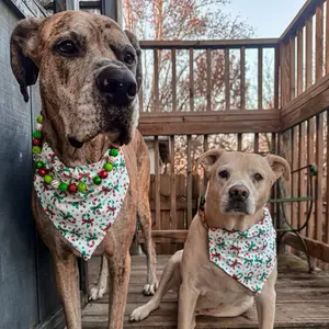 Candy Canes Festive Dog Bandanas with Christmas Design for Holiday Outfits