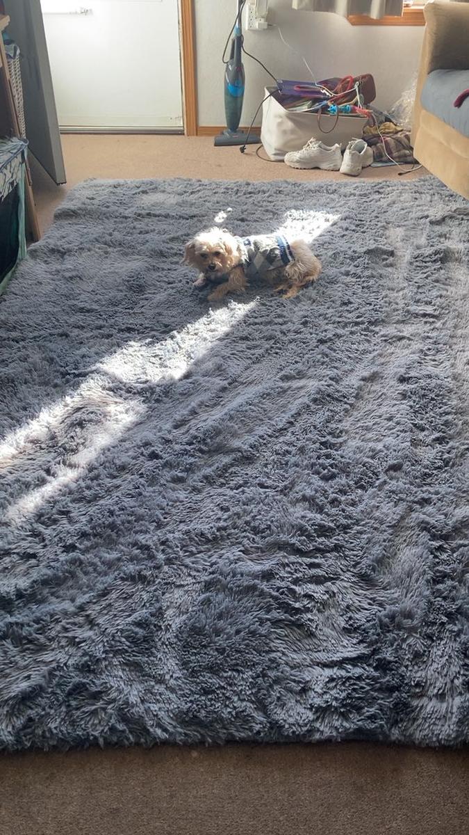 Item: Gray, 6 by 9 feet