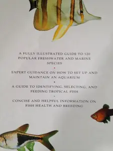 USED-Tropical Fish Identifier: A Complete Guide to Identifying, Choosing, and Keeping Freshwater and Marine Species by Gina Sandford (Hardcover)