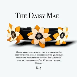 The Daisy Mae Custom Dog Collar