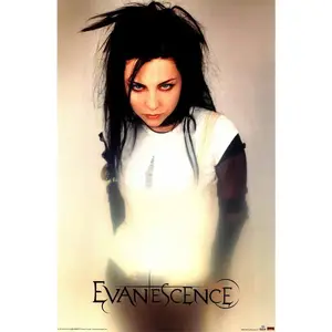 EVANESCENCE POSTER, Music Poster, EVANESCENCE fan gift, rock music band