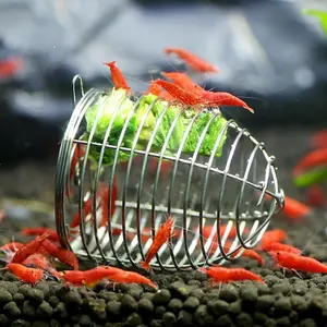 Small Aquarium Fish Tank Feeding Bowl Stainless Steel Fish Shrimp Bait Cage Dispenser Dry Spinach Feeder Basket Tool, 1/2pcs
