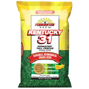 Pennington Seed 100516048 3 lbs. Kentuckey 31 Tall Fescue Seed