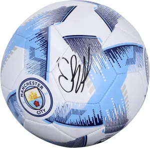 Erling Haaland Manchester City Autographed Manchester City Blue & Gray Logo Soccer Ball - Fanatics Authentic Certified
