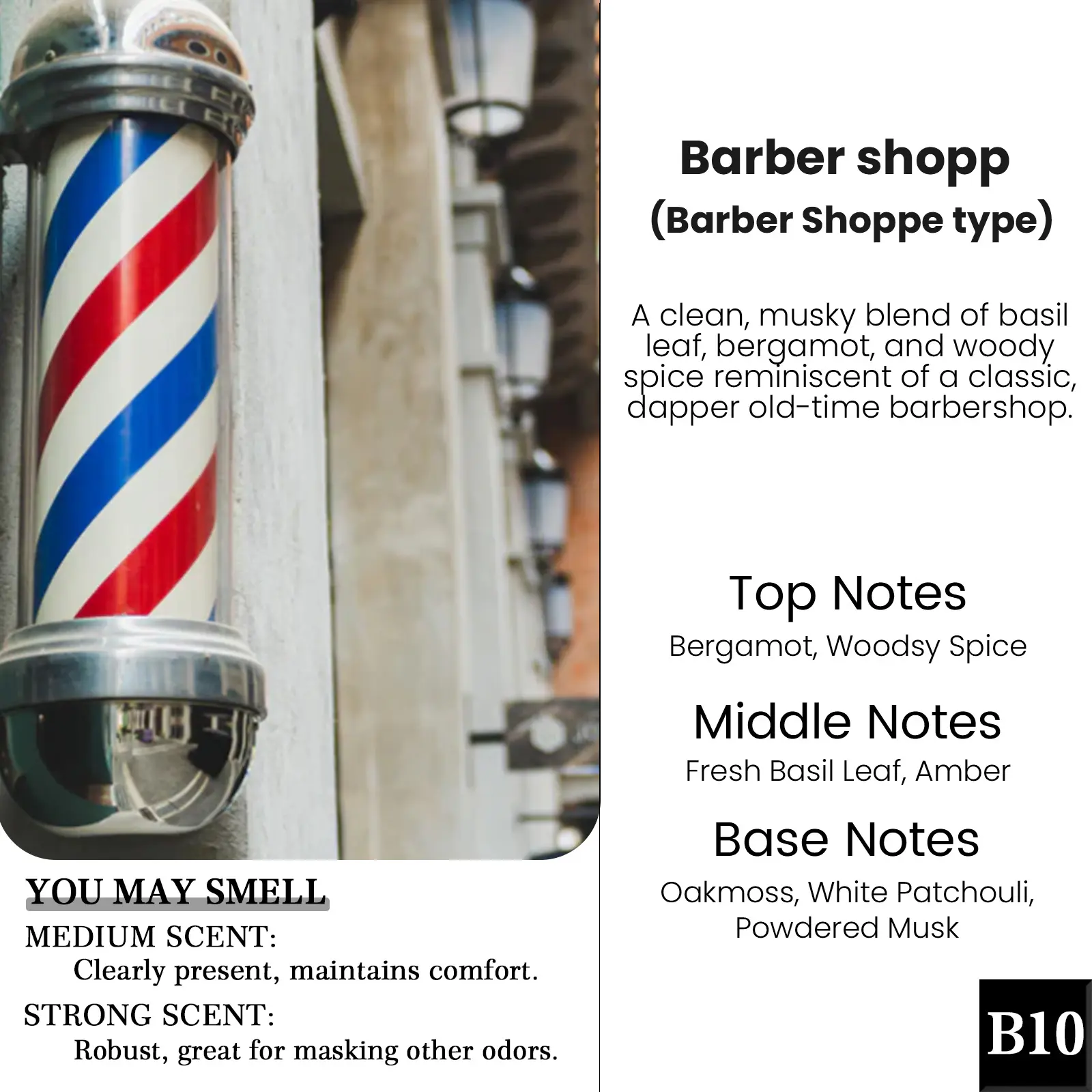 B10-Barber shopp(Barber Shoppe Type)