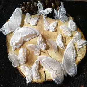 Butterfly Lace Applique, Dual Layer Transparent Net Bride Patch, Embroidered Clear Stitch Pattern, Wedding Veil, Dress Decoration