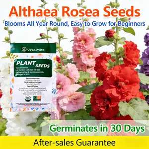 Hollyhock Seeds Alcea Rosea Ornamental Flower Seeds Non-GMO Backyard Garden Border Patio Outdoor Landscape Easy Grow Perennial Wildflower Natural Fresh Planting Seeds