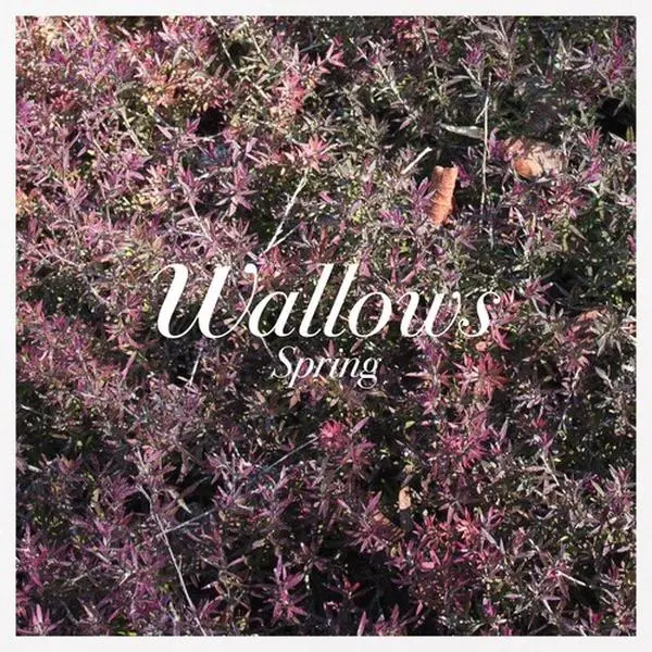 Wallows - Spring  [VINYL RECORD - LP] Explicit, Pink, Colored Vinyl, Green