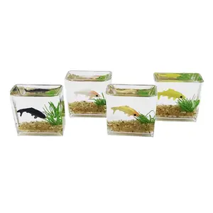 DIY Thick Glass Moss Micro Landscape Terrarium Kit with Hydro Plant Decor, Multi-Functional Art Ornament for Home Office & Dorm, Ecological Bottle Planting Tools for Desktop Gardens