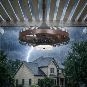 20" Outdoor Ceiling Fan with Lights, Plug in Caged Ceiling Fan with Remote Control Smart App, IP44 Waterproof Gazebo Fans with 6 Speed Reversible, Timer, 3CCT for Outdoor Patio Porch, Brown