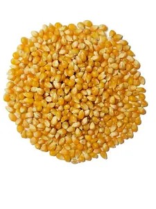 Organic Popcorn Kernels unpopped Non-GMO, Vegan Bulk Raw by Baltoro Foods