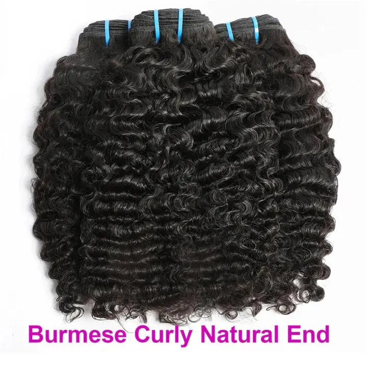 Burmese Curly Natural End