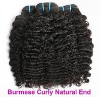 Burmese Curly Natural End