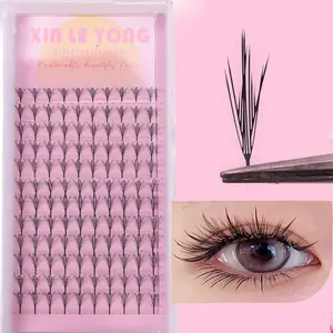 3D Printed A-Type Eyelashes, 120 Clusters Cartoon Feather Design, Stable Structure, Soft Wear, Easy Daily Use, No Ca Prop 65 Warning, Fluffy False Eyelashes