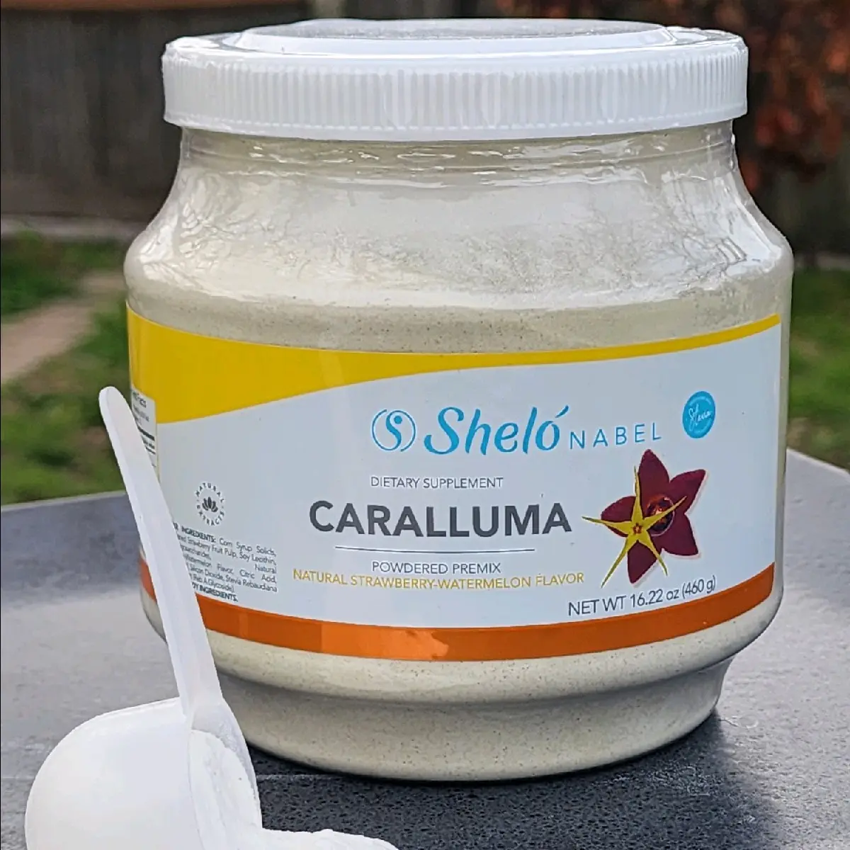 Caralluma Powder/Caralluma by Shelo nabel Supplement Edible Dietary Fitness Natural Healthcare