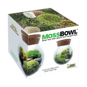 MossBowl- Grow Your Own Beautiful Moss Garden, Complete Kit Come with 3 Mosses!