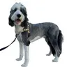 ShawnCo | Dream Walk Pro Dog Harness- No-Pull, Comfortable, Adjustable, Easy to Use Pet Halter to Help Stop Pulling for Small, Medium and Large Dogs