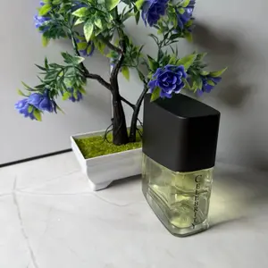 Men's Celebrity Scented