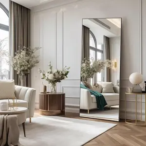 Full Length Mirror With Stand, 64"X21" Floor Mirror With Aluminum Alloy Frame For Bedroom, Standing Full Body Mirror, Dressing Mirror Home Decor Back To School Room Decor School Suppliessale