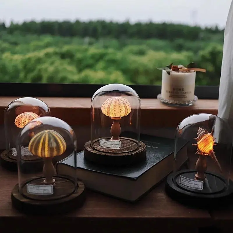 Handmade Shell Sea Urchin Bedside Light - DIY Material Pack, Battery-Powered, European Contemporary Indoor Night Light, Study Desk Decor, Birthday Holiday Gift for Home Festive Supplies
