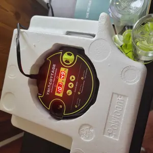 Incubators for Hatching Eggs 12 Egg Incubator with Automatic Egg Turning and Humidity Control,Egg Candler,Auto Water Replenishment, M12H