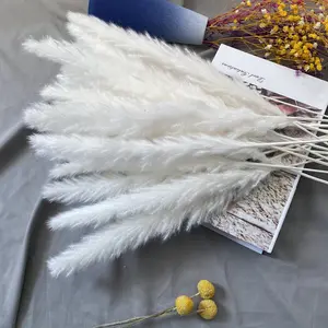 15 PCs White Natural Dried Pampas Grass Bouquet - Boho Home Decor & Wedding Floral Arrangements, 23"-24"