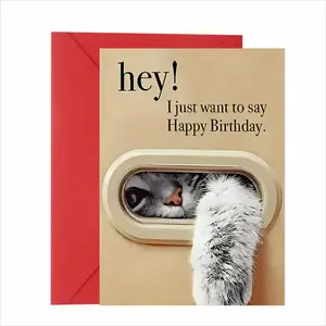 1-Piece Birthday Greeting Card: Adorable 3D design—fluffy cat paw + peekaboo face through a "window"! Playful "hey!" typography + warm birthday message. Premium textured paper + bold red envelope. Cute, interactive & heartfelt—perfect for gifting to cat l
