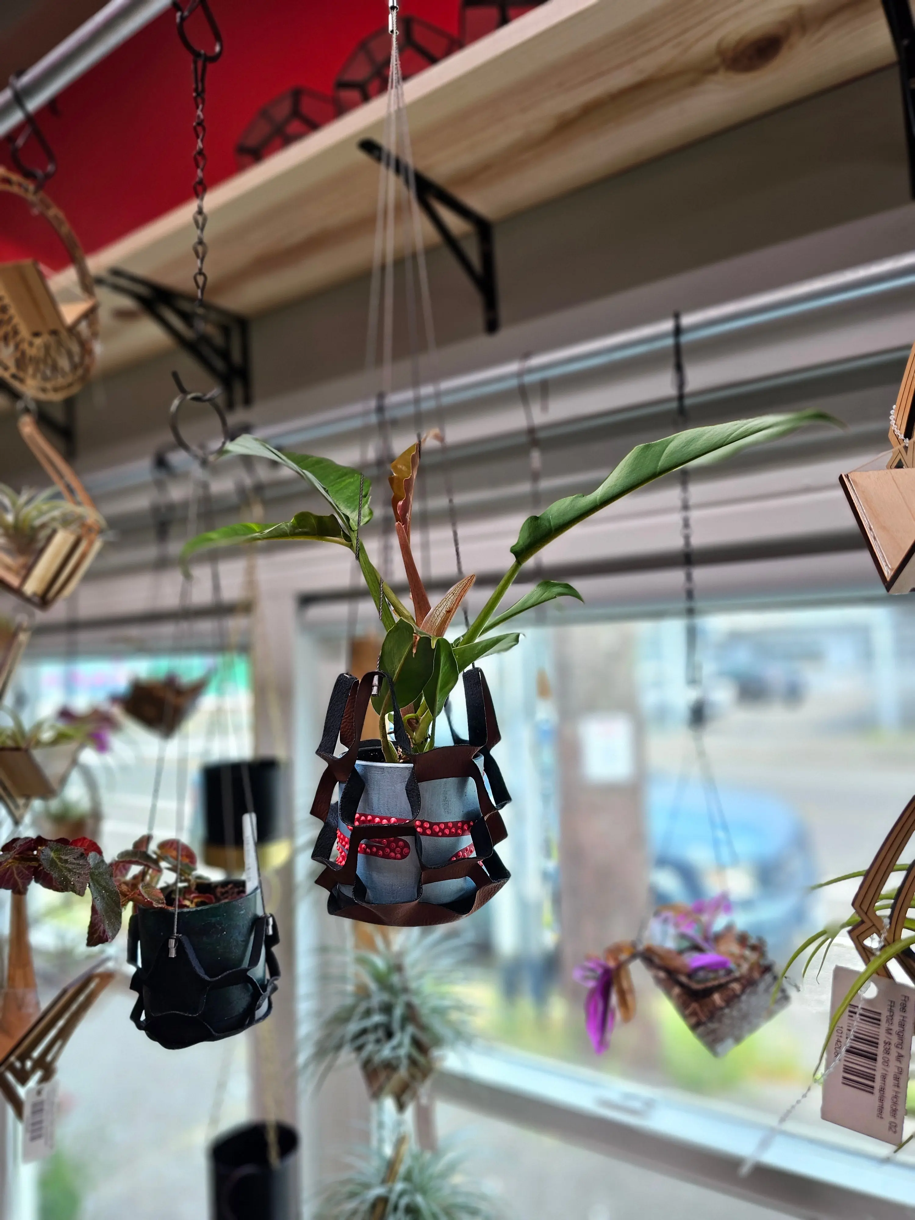 Medium Plant Hanging Hammock