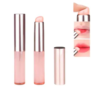 CHRISTMAS GIFT Lip Brush 2PCS – Portable Flat Applicators with Cap for Lipstick, Lip Gloss, Creams, Professional Makeup Brushes for Travel ( Pink)