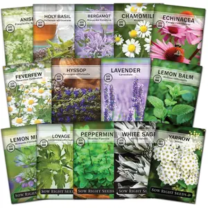 Large Medicinal Herb Collection herb seed