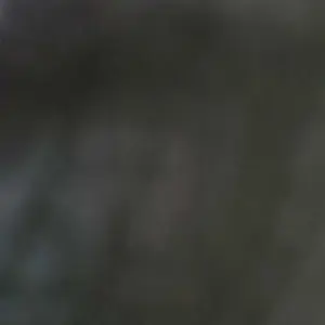 review image 4