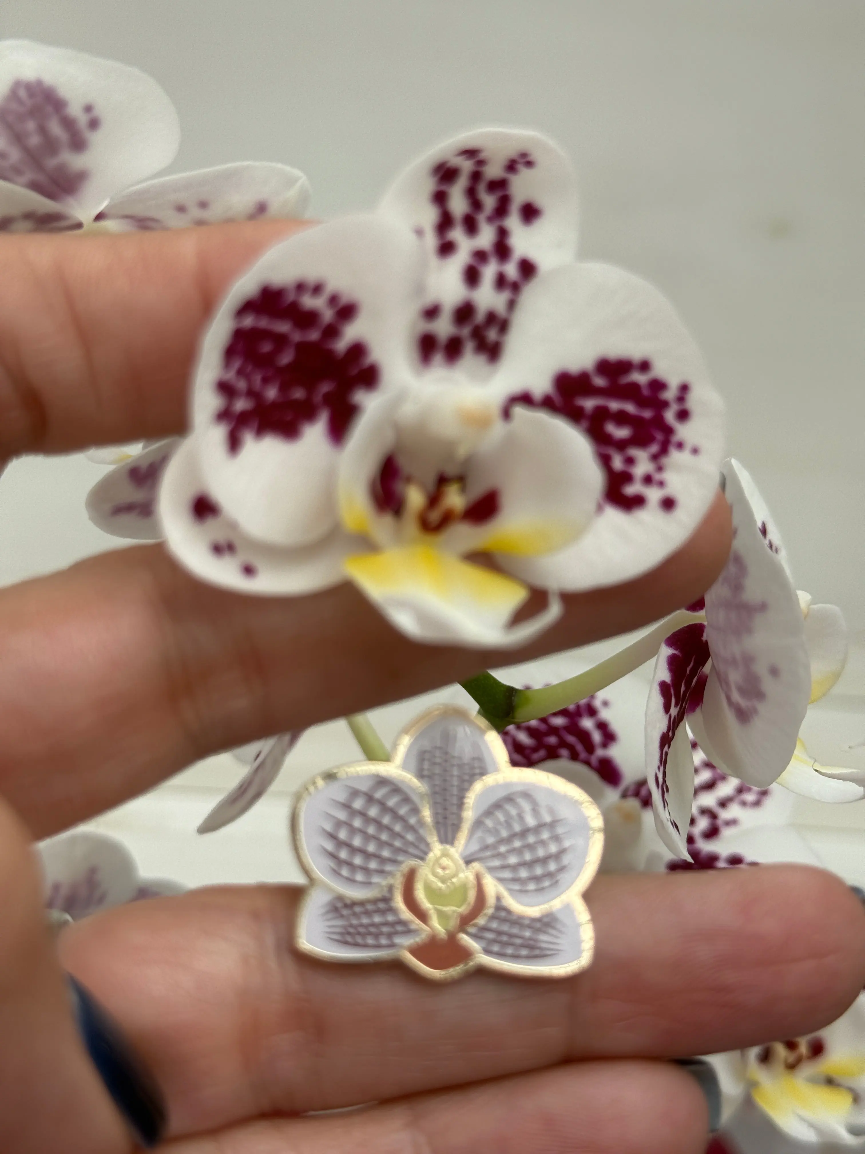 Phalaenopsis Orchid Flower Enamel Pin