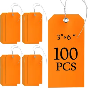 100 count 3x6 inch Large Plastic Shipping Tags with String Heavy Duty  Hang Tags with String Attached Writable Wire Tags Labels for Luggage Garage Inventory  Parts (Orange)