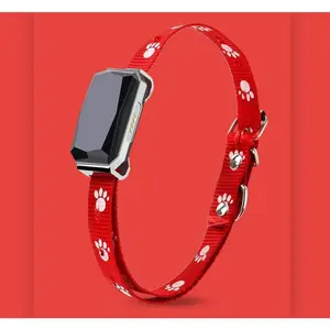 Beidou GPS pet positioning collar
