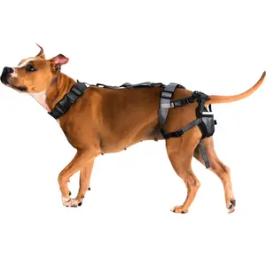 PABS® Premium Plus Plus Delay her SpayTM System (Includes Harness, Inflatable Collar, and Sani-T Pads)