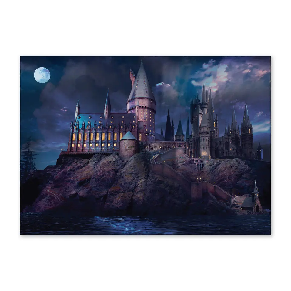 Harry Potter Hogwarts Castle at Night Backdrop Wall Banner (5ft x 7ft)