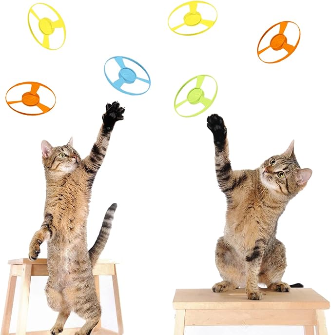 15pcs Upgraded Flying Disc Dog & Cat Toy with Fe-Tch Tracking System - Durable Plastic Discs Suitable for Training, Fetch, Retrieval - Interactive for Chasing for All Breeds of Cats and Small Dogs ( for /Outdoor Play) fidget tok new laser fly digi Summerv