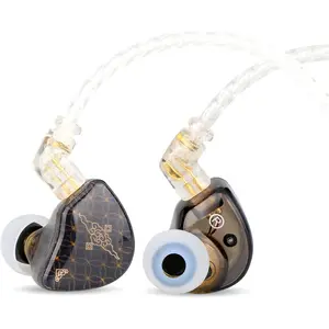 TANGZU Wan'er S.G HiFi 10mm Dynamic Driver PET Diaphragm in-Ear Earphone with  Shape, Detachable Recessed 2Pin OFC Braided  for Audiophile Musician DJ Stage(Black, Without Mic)