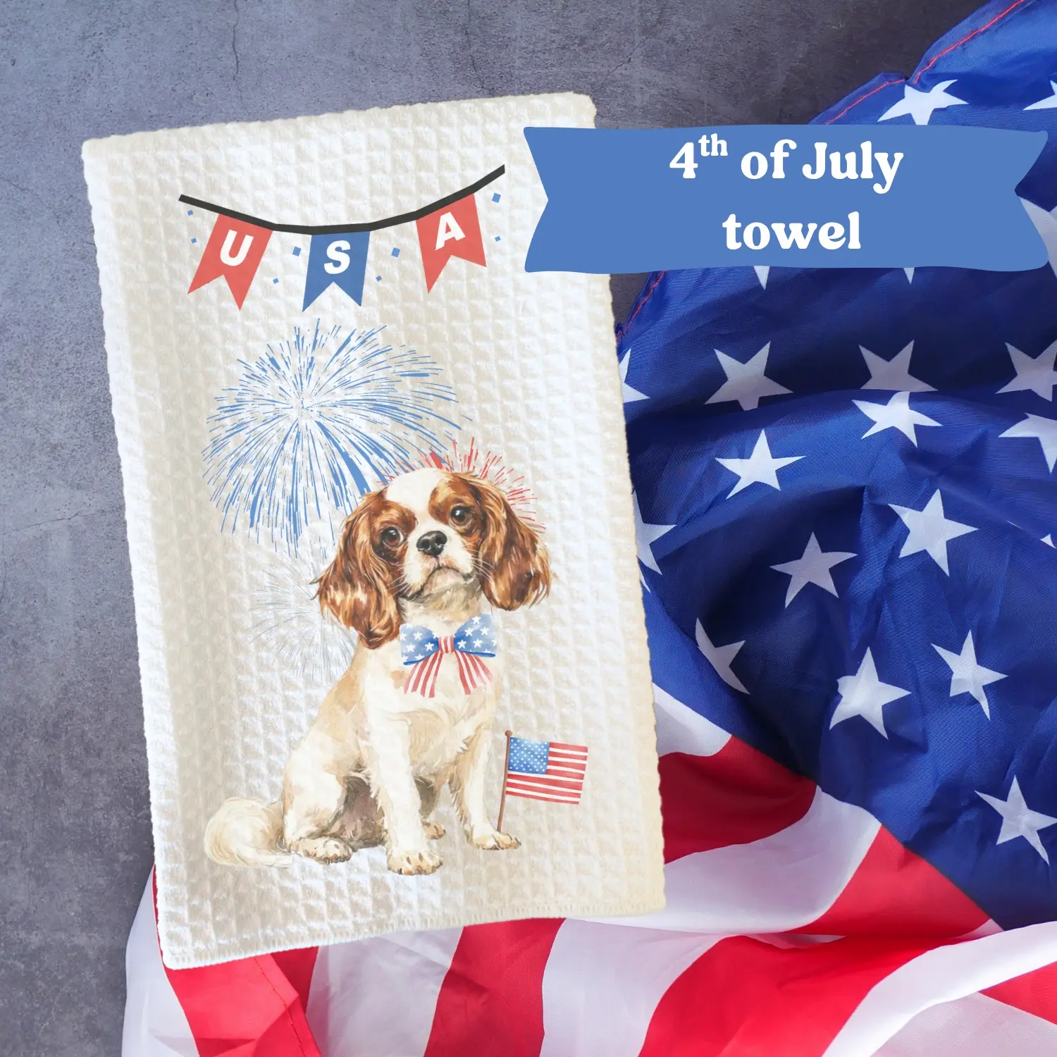 Cavalier spaniel Blenheim