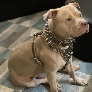 Adjustable Pet Harness Set with Rivet Leather, Without Battery Three-piece set of chest, back and neck collar with traction rope, anti-biting rivet style, PU leather, adjustable pet leash set