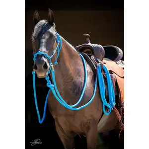MG Halter, Lead Rope, Reins Full Training Set