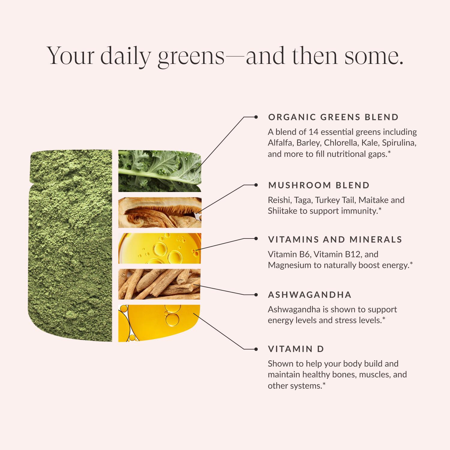 Beam Greens Superfood Powder, 30 Servings, Strawberry Kiwi Flavor, Best Tasting Greens Powder (NY Post) – Energy & Wellness Support Beam Greens Superfood Powder, 30 Servings, Strawberry Kiwi Flavor, Best Tasting Greens Powder (NY Post) – Energy & Wellness Support