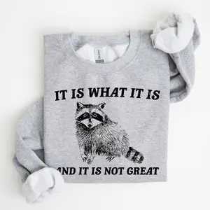 It Is What It Is And It Is Not Great, Raccoon, Trash Panda, Funny, Meme, Sweatshirt