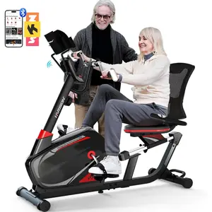 Magnetic Recumbent Exercise Bike with Arm Exerciser, Recumbent bikes for Adult and Seniors, Recumbent Exercise bike for Home 400 lbs Capacity