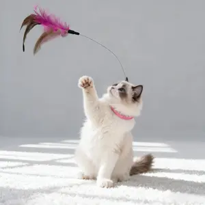 Cat Collar Toy, Cat Feather Toy with Neck Collar, Interactive Self Playing Toys with Bell for Indoor Kittens Small Animals(Pink/Blue) pettoys responsive Halloween Set Christmas Feathered Teaser