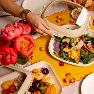 Portable Snack Tray