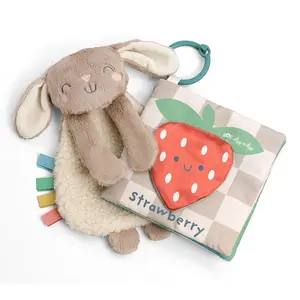 Itzy Ritzy Learn and Snuggle Gift Set