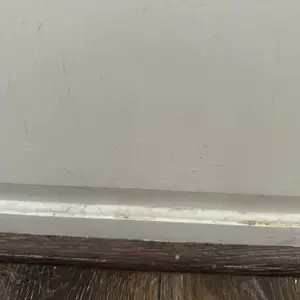 Product Review of Schenley 18-in-1 Steam Mop with Detachable Handheld Steamer for Walls, Floors, Tiles, Tackles Grease & Sticky Messes, Includes Multiple Accessories Cleaning Tools Cleaning Set from J**i H**r