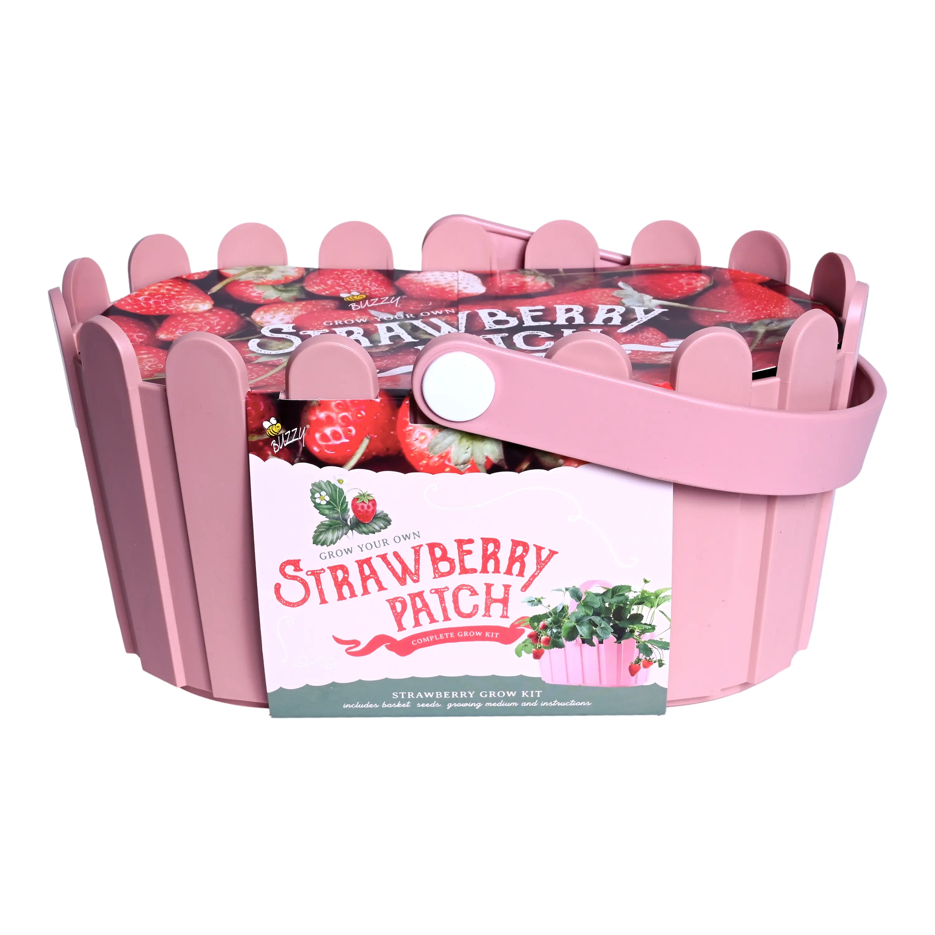 Strawberry Grow Kit | Pink Basket Planter Strawberry Grow Kit | Pink Basket Planter
